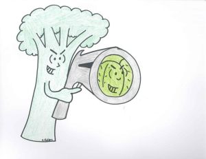 broccoli gun