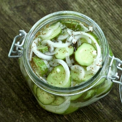 fridge pickles