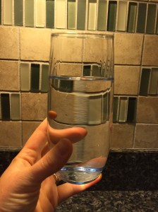 2015 sibling visit 273