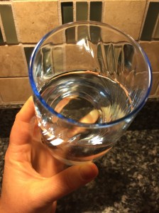 2015 sibling visit 274