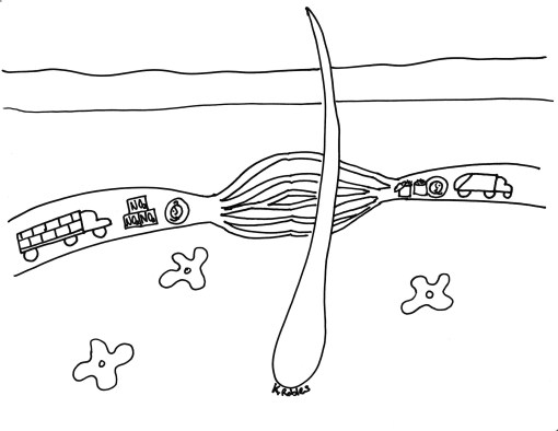 blood flow skin health